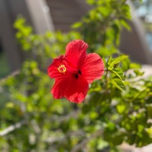 Meet your Posher, Gabrielle